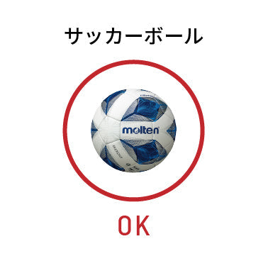 ボールパンク検査依頼代金