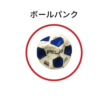 ボールパンク検査依頼代金