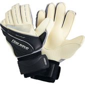 ファインセーブ９号