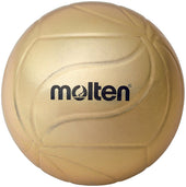 記念ボール　バレーボール（5号球）