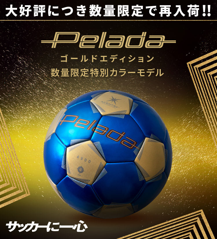 第6世代 ペレーダ | モルテン公式オンラインショップ
