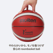 roombasketball ドリブルセット Pro